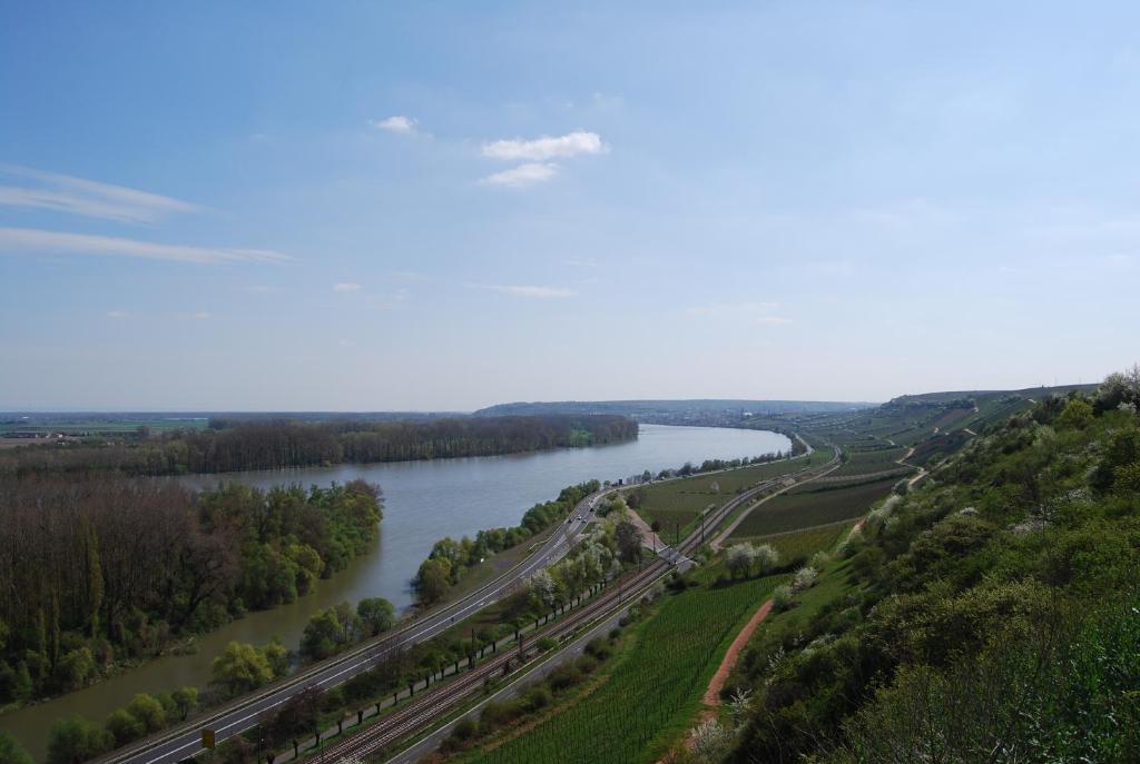 Landhotel St. Gereon Nackenheim Luaran gambar